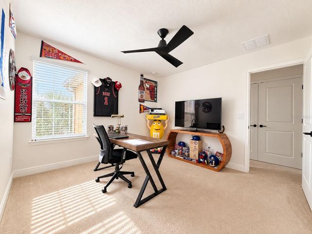 17874 ALTHEA BLUE PLACE, Lutz, FL 33558