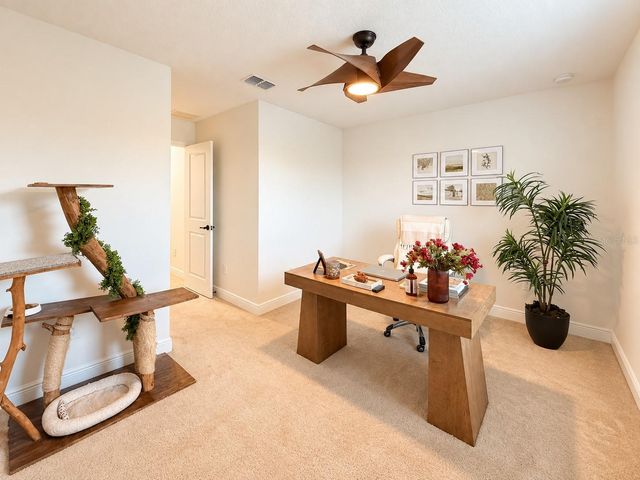 17874 ALTHEA BLUE PLACE, Lutz, FL 33558