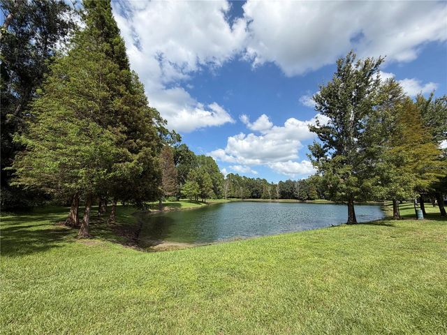 17874 ALTHEA BLUE PLACE, Lutz, FL 33558
