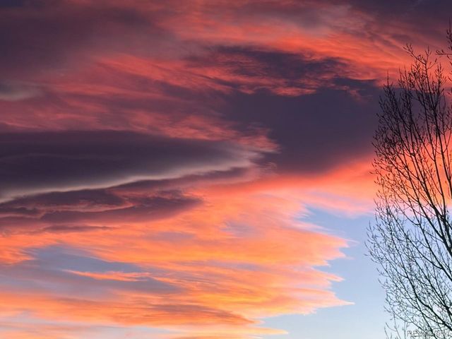 1574 Westin Dr, Erie, CO 80516