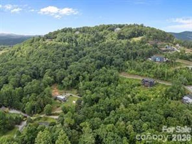 w12 curtain Bluff, Hendersonville, NC 28791