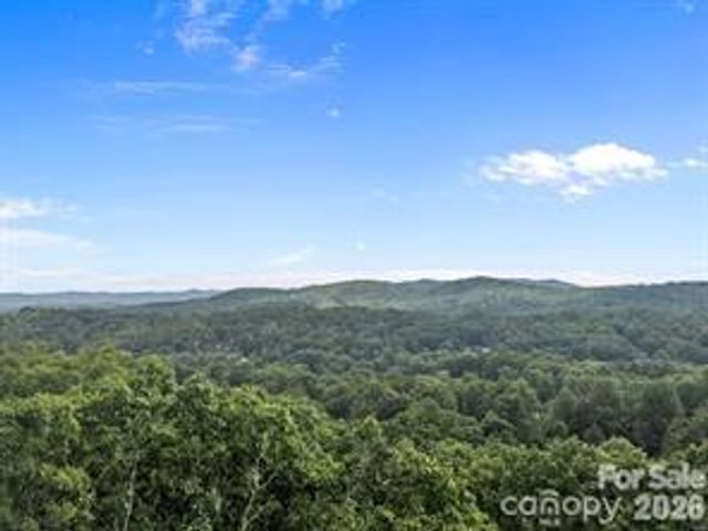 w12 curtain Bluff, Hendersonville, NC 28791