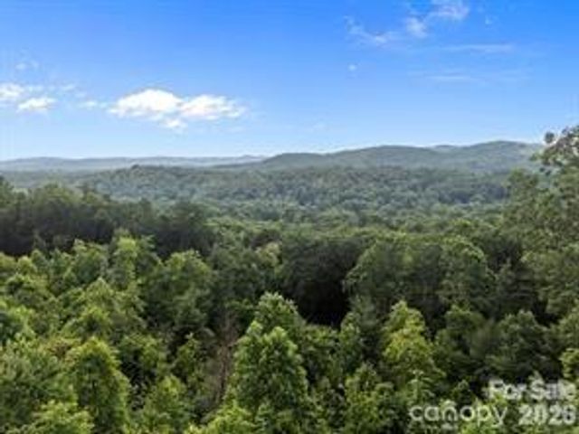w12 curtain Bluff, Hendersonville, NC 28791