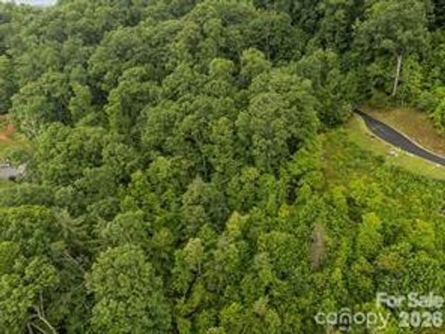 w12 curtain Bluff, Hendersonville, NC 28791