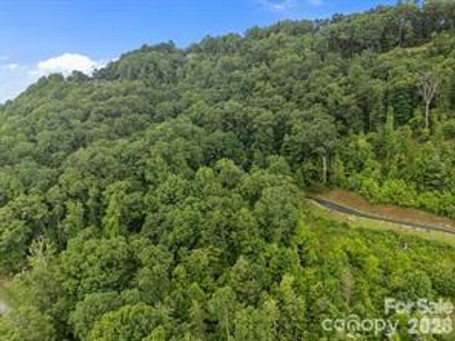 w12 curtain Bluff, Hendersonville, NC 28791