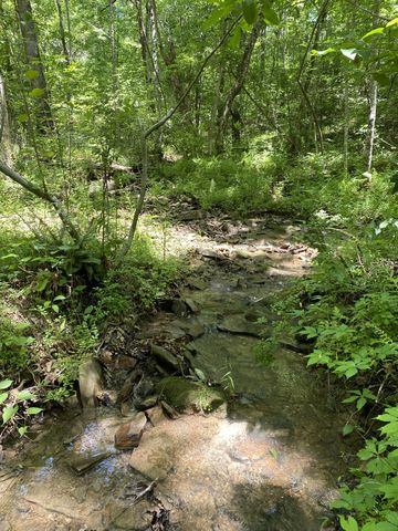 118 Cherokee Rd, Spencer, TN 38585