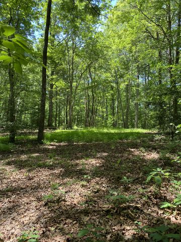 118 Cherokee Rd, Spencer, TN 38585