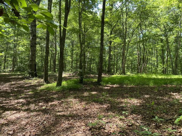 118 Cherokee Rd, Spencer, TN 38585