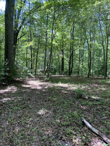 118 Cherokee Rd, Spencer, TN 38585