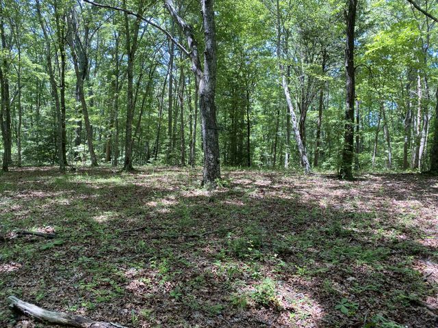 118 Cherokee Rd, Spencer, TN 38585