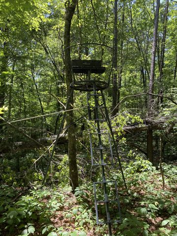 118 Cherokee Rd, Spencer, TN 38585