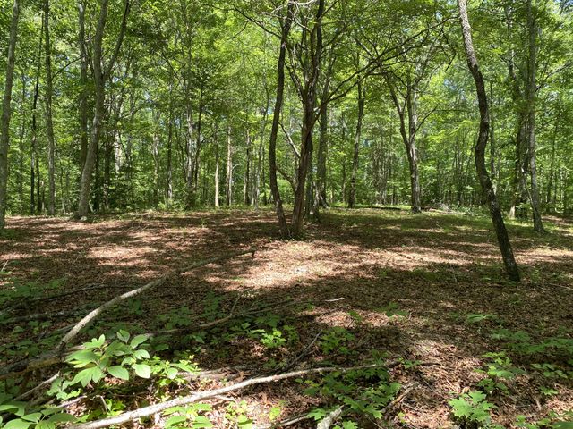 118 Cherokee Rd, Spencer, TN 38585