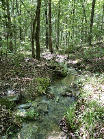 118 Cherokee Rd, Spencer, TN 38585