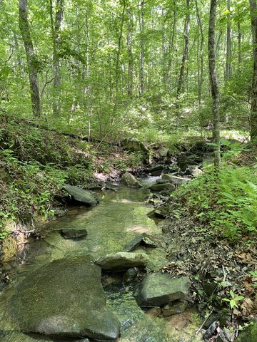 118 Cherokee Rd, Spencer, TN 38585