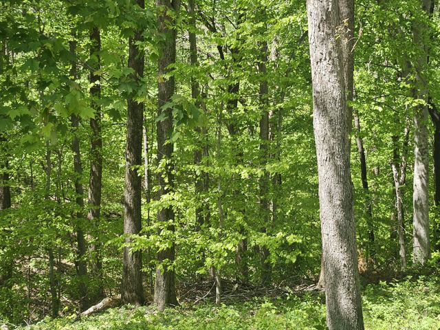 1581 Galen Rd, Lafayette, TN 37083