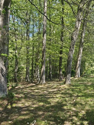 1581 Galen Rd, Lafayette, TN 37083