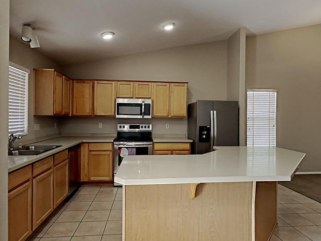 16206 N 137th Drive, Surprise, AZ 85374