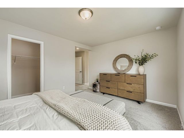909 Nettle Ln, Fort Collins, CO 80524