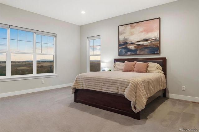 3202 Wingspan Point, Castle Rock, CO 80108