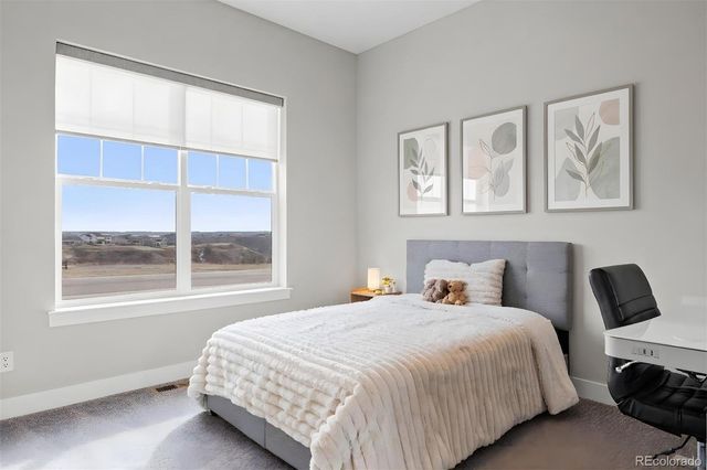 3202 Wingspan Point, Castle Rock, CO 80108