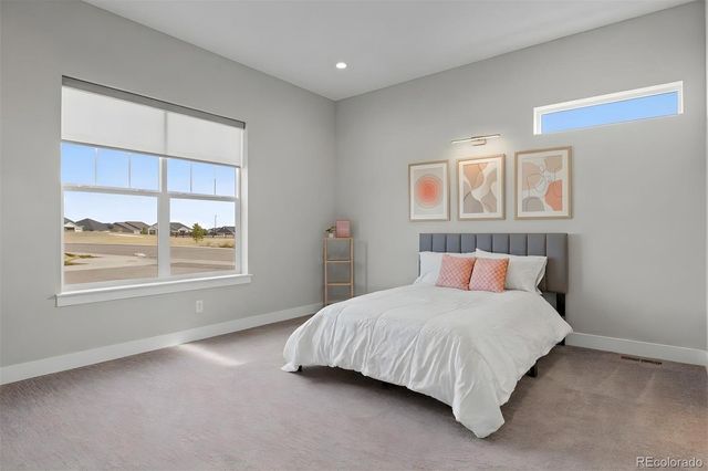 3202 Wingspan Point, Castle Rock, CO 80108