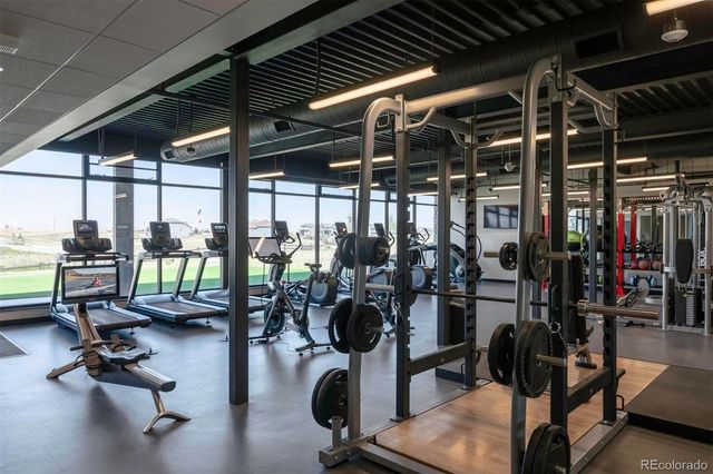 3202 Wingspan Point, Castle Rock, CO 80108