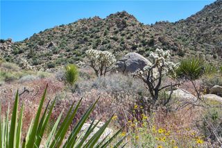 0 San Andreas Road, Joshua Tree, CA 92252