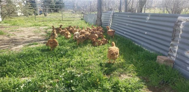 57745 Bailey, Anza, CA 92539