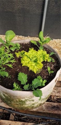 57745 Bailey, Anza, CA 92539