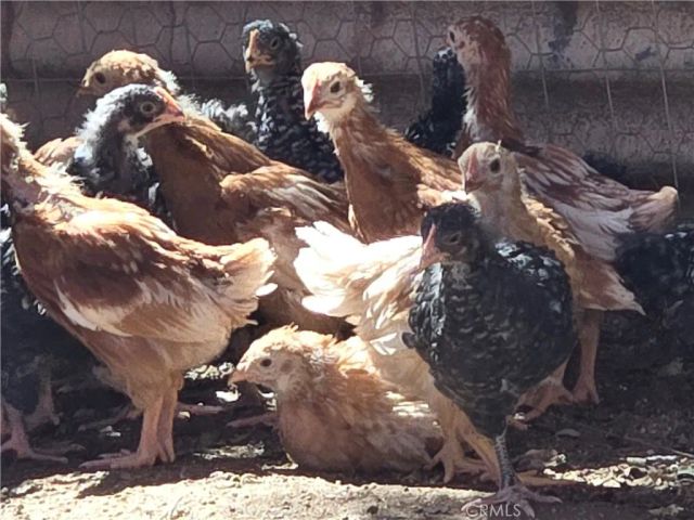 57745 Bailey, Anza, CA 92539