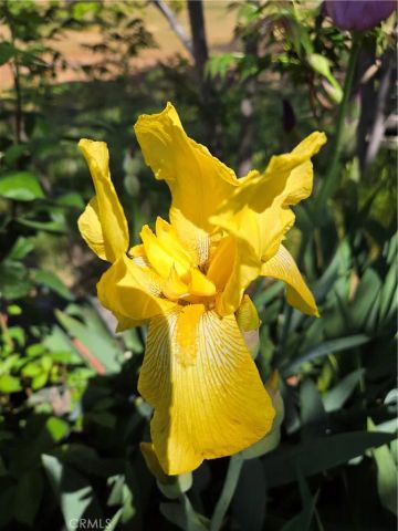 57745 Bailey, Anza, CA 92539