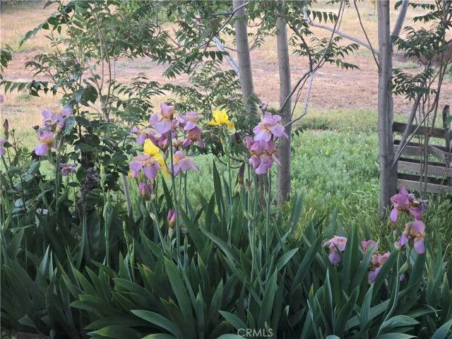 57745 Bailey, Anza, CA 92539
