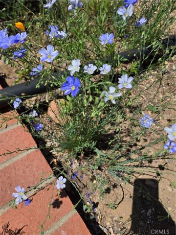 57745 Bailey, Anza, CA 92539