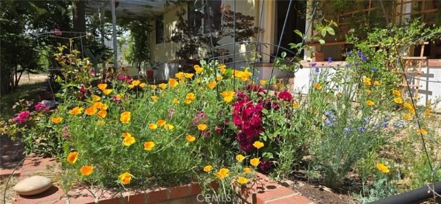 57745 Bailey, Anza, CA 92539