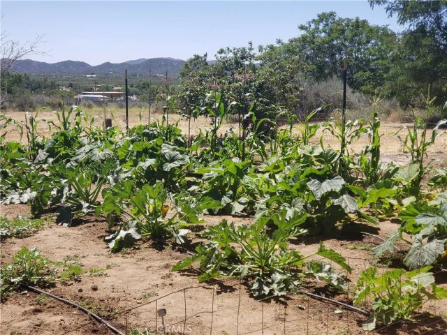 57745 Bailey, Anza, CA 92539