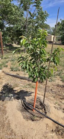 57745 Bailey, Anza, CA 92539