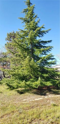 57745 Bailey, Anza, CA 92539