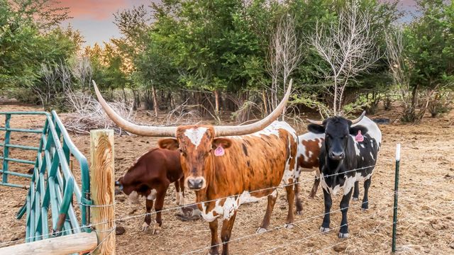 225 Meeka Court, Grand Junction, CO 81503