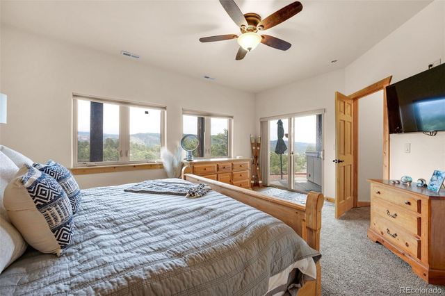 205 Eagleview Circle, Florissant, CO 80816