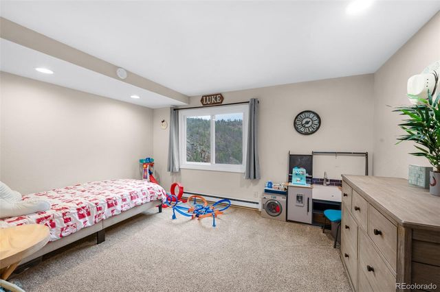 205 Eagleview Circle, Florissant, CO 80816