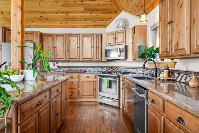 205 Eagleview Circle, Florissant, CO 80816