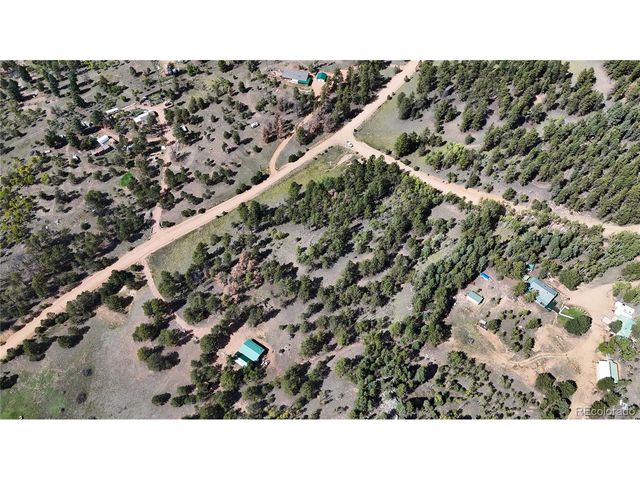 2265 Vagabond Creek Dr, Lake George, CO 80827