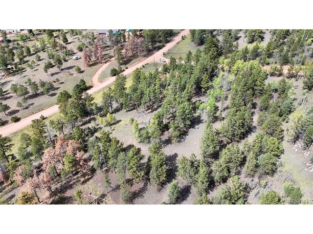 2265 Vagabond Creek Dr, Lake George, CO 80827