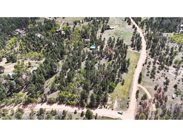 2265 Vagabond Creek Dr, Lake George, CO 80827