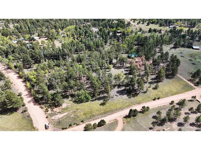 2265 Vagabond Creek Dr, Lake George, CO 80827