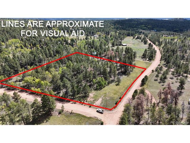 2265 Vagabond Creek Dr, Lake George, CO 80827