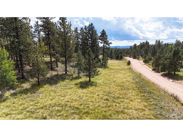 2265 Vagabond Creek Dr, Lake George, CO 80827