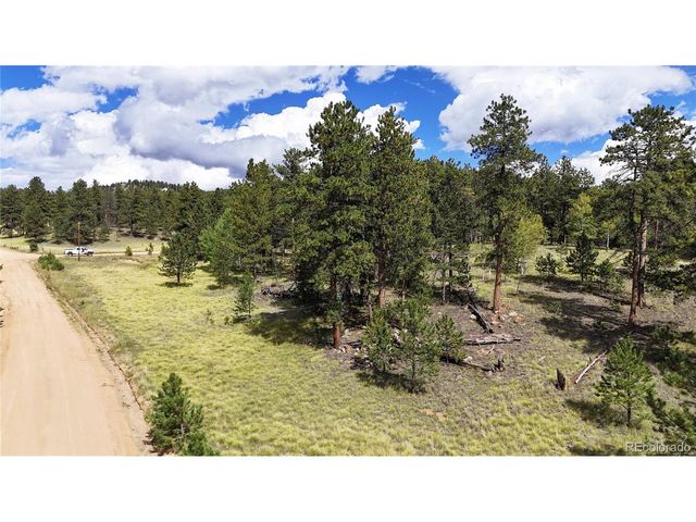 2265 Vagabond Creek Dr, Lake George, CO 80827