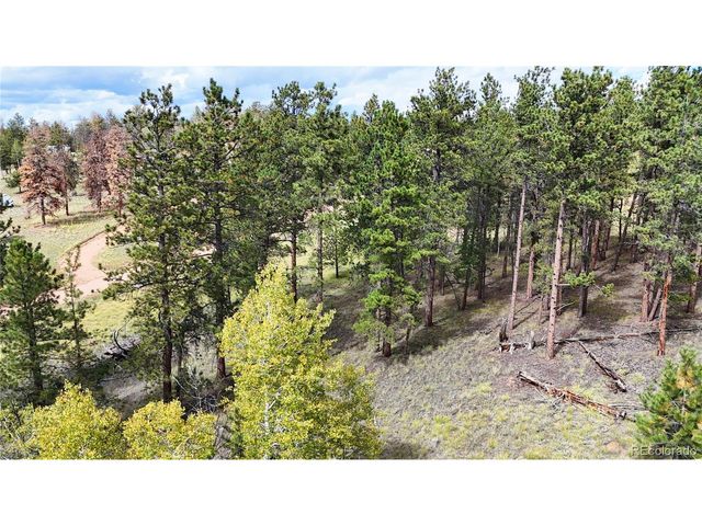 2265 Vagabond Creek Dr, Lake George, CO 80827