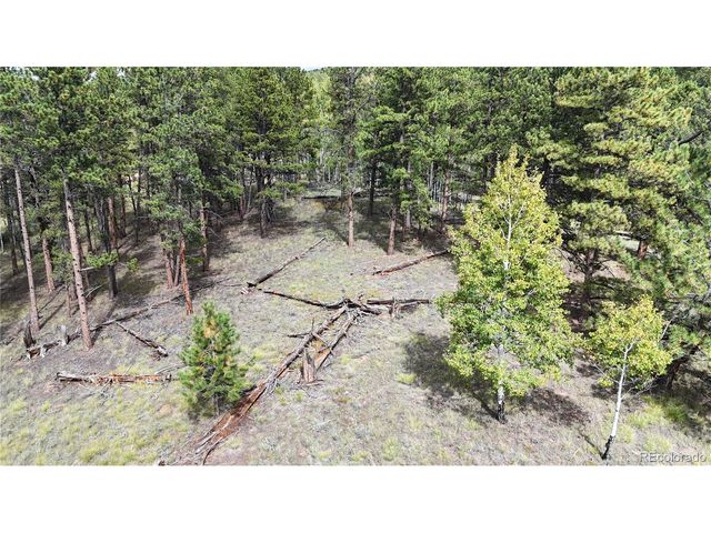 2265 Vagabond Creek Dr, Lake George, CO 80827